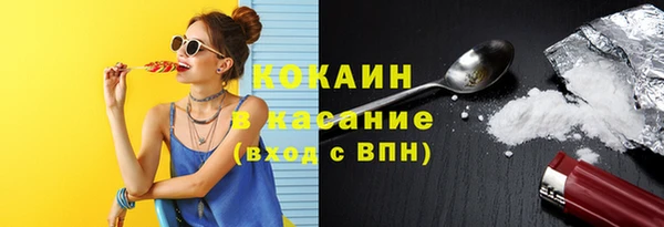 прущий лед Алзамай
