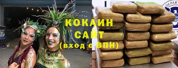 шишки Алексин