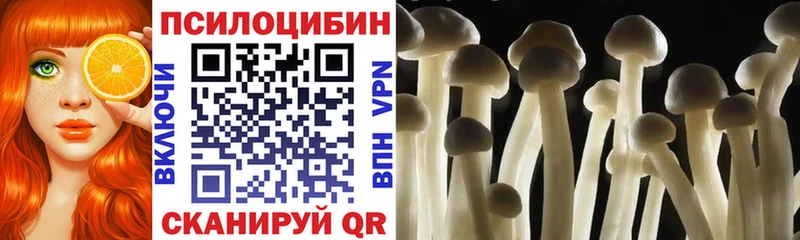 Галлюциногенные грибы мицелий  Макушино 